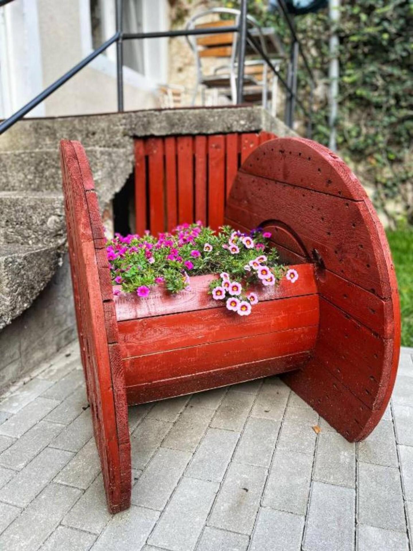 Apartment Schei Brasov